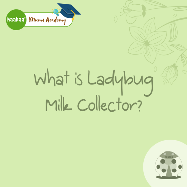 What is Ladybug Milk Collector?